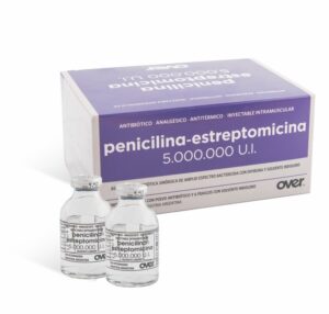 penicilina-estreptomicina-5.000